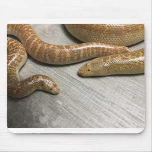Arabisches Sandboa Mousepad