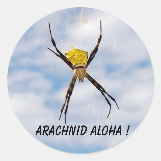 Arachnid Aloha Hawaiian Garden Spider Runder Aufkleber (Vorderseite)