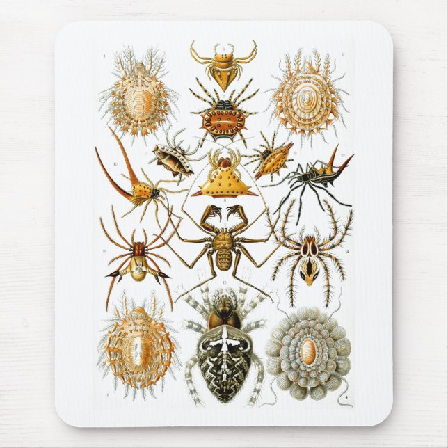 Arachnida (Spiders), Ernst Haeckel Fine Art Mousepad (Vorne)