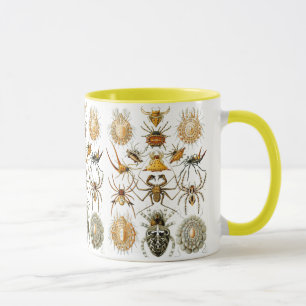 Arachnida (Spiders) Ernst Haeckel Fine Art Tasse