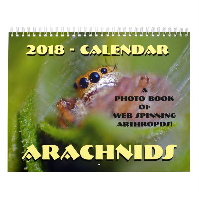 Arachnider Kalender (Titelbild)