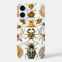 Arachnids von Ernest Haeckel Vintag Illustration