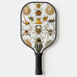 Arachnids von Ernest Haeckel Vintag Illustration Pickleball Schläger