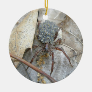 Araignée de loup avec Spiderlings et ornement de