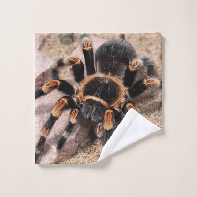 Araignée de Tarantula au genou rouge mexicain (Gant de toilette)