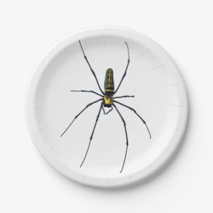 Araignée d'Halloween sur assiette en papier