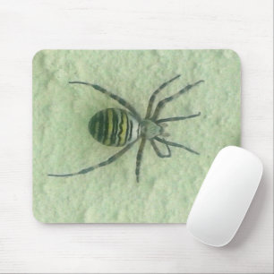 Araignee Spinne Mousepad