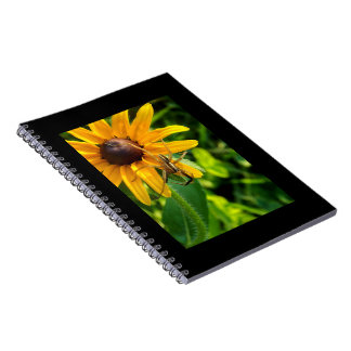 Araignée sur un tournesol 6,5x8,57 Carnet spiral