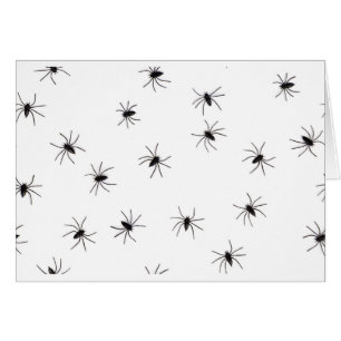 araignées