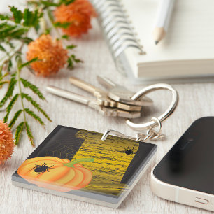 Araignées Et Citrouilles