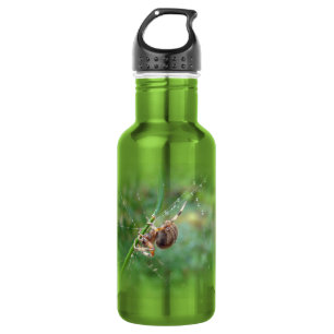 Araneus - Radnetzspinne Trinkflasche