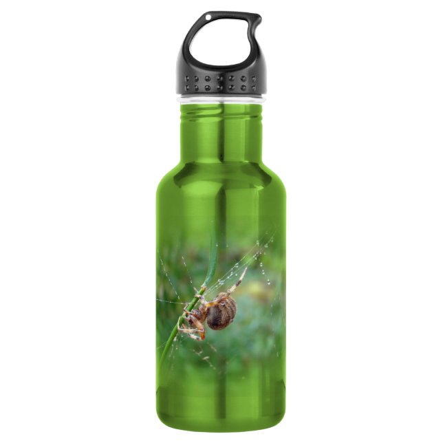Araneus - Radnetzspinne Trinkflasche (Vorderseite)