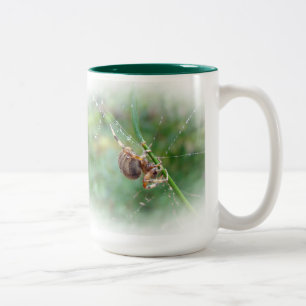 Araneus - Weaver Spider Zweifarbige Tasse
