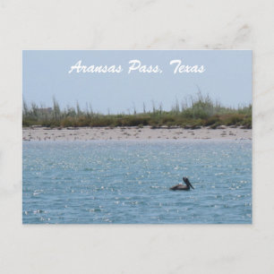 Aransas Pass Texas-Küste mit Pelikan Postkarte