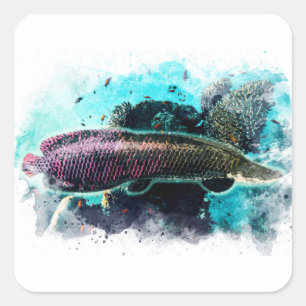 Arapaima Monster Fisch Pirarucu Paichu Quadratischer Aufkleber