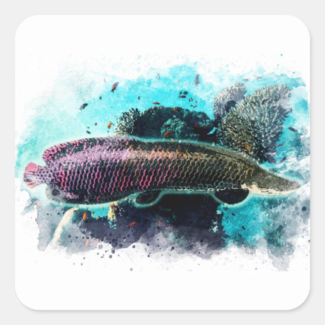 Arapaima Monster Fisch Pirarucu Paichu Quadratischer Aufkleber (Vorderseite)