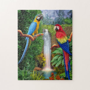 Arara-Tropenpapageien