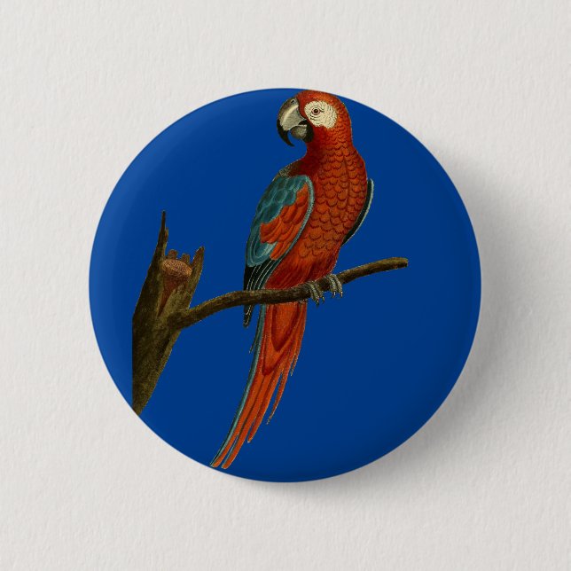 Ararotpapagei Button (Vorderseite)