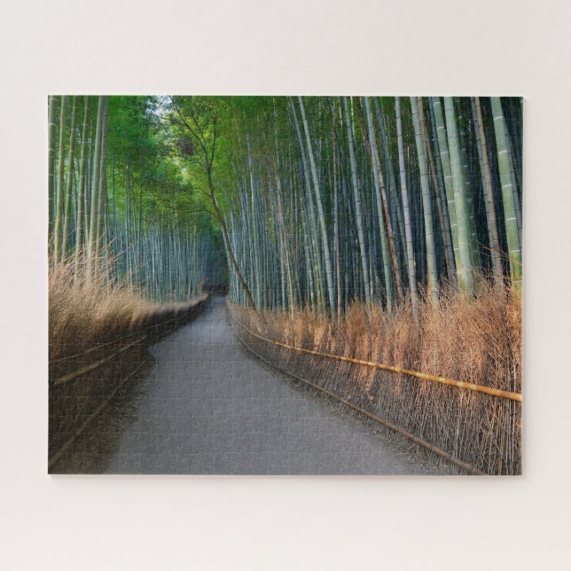 Arashiyama Bamboo Grove in Kyoto, Japan (Horizontal)