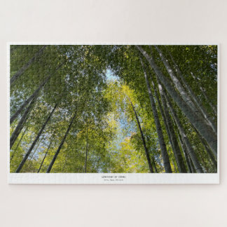 Arashiyama-Bambuswald - Symphonie der Stämme