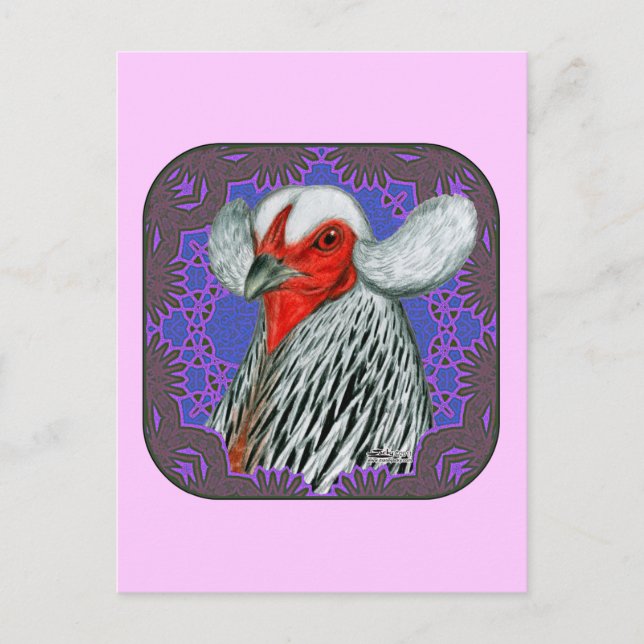 Araucana Head Gerahmt Postkarte (Vorderseite)