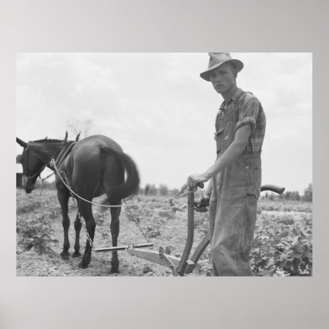 Arbeit in der Baumwolle Poster (Vorne)