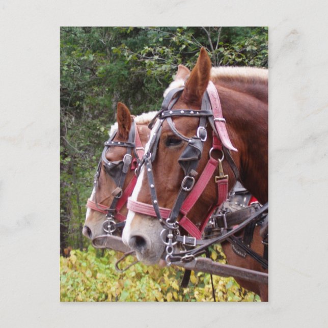 Arbeit Postkarte (Vorderseite)