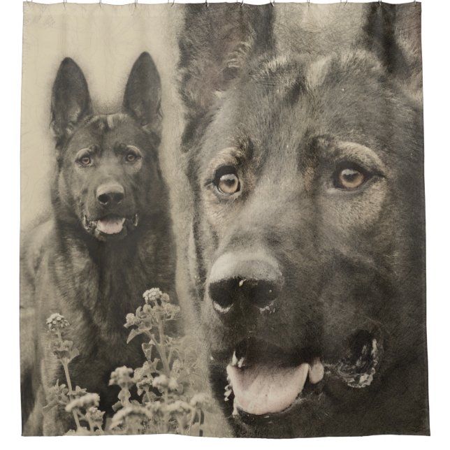 Arbeitender Schäferhund-Hund - GSD Duschvorhang (Vorderseite)