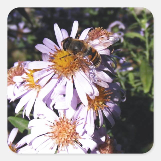 Arbeitsbienenämter Quadratischer Aufkleber (Vorderseite)