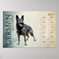 Arbeitsdeutscher Schäferhund - GSD-Kalender 2019