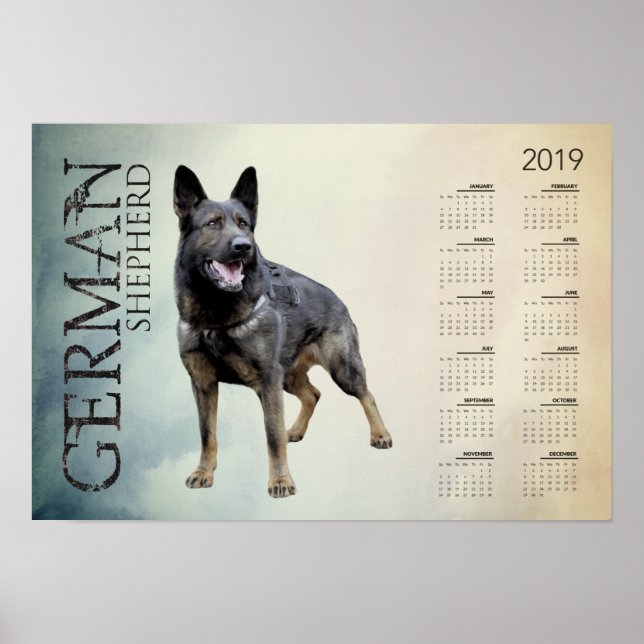 Arbeitsdeutscher Schäferhund - GSD-Kalender 2019 Poster (Vorne)