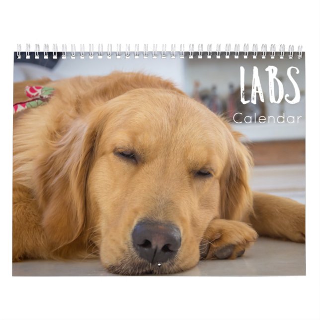 Arbeitskalender 2023 kalender (Titelbild)