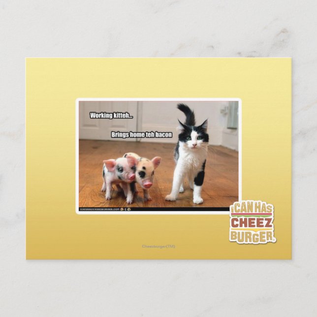 Arbeitskitte Postkarte (Vorderseite)