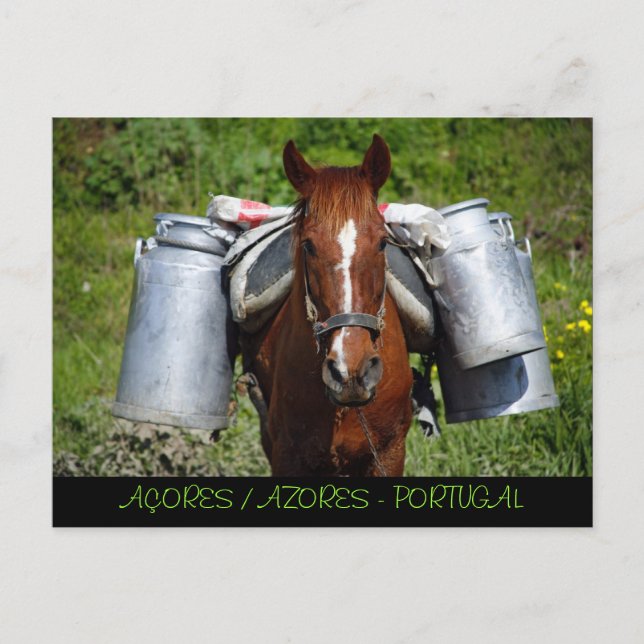 Arbeitstier Postkarte (Vorderseite)
