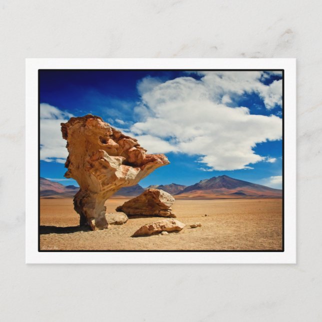 Árbol de Piedra Postcard Postkarte (Vorderseite)