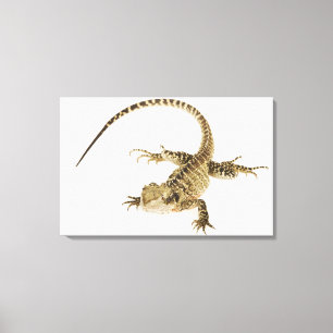 Arboreal agamid Spezieseingeborener bis Ost2 Leinwanddruck