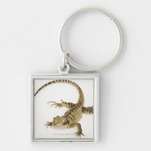 Arboreal agamid Spezieseingeborener bis Ost2 Schlüsselanhänger