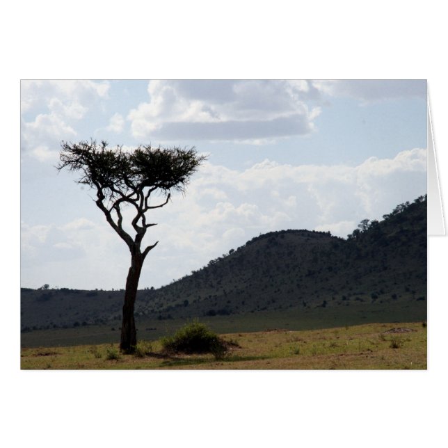 arborescence (Devant horizontal)