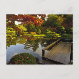 Arboretum, Japanischer Garten, Seattle, Washington Postkarte