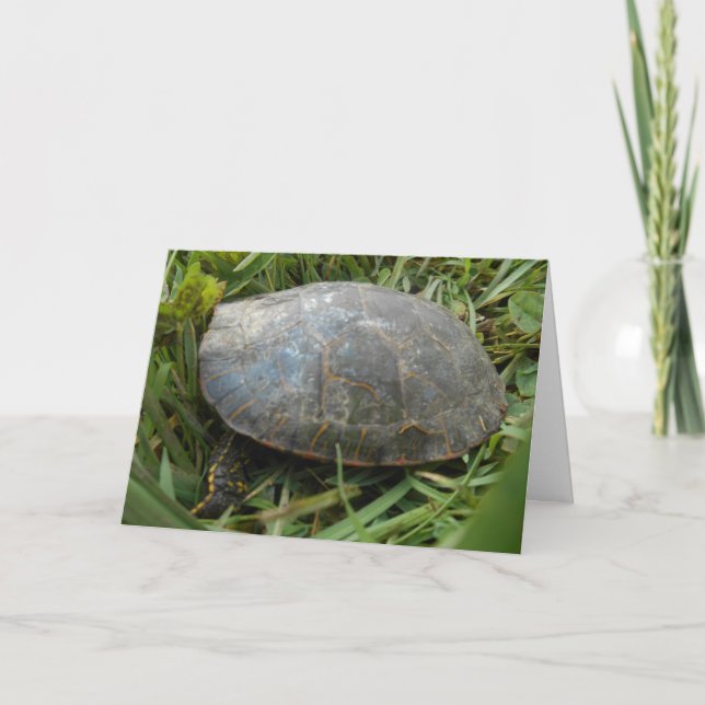 "Arboretum Painted Turtle" - Wohlfühlkarte Karte (Vorderseite)