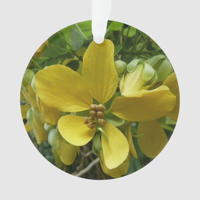 Arbre à douche dorée Tropical Jaune Floral (devant)