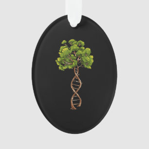 Arbre Adn De Vie Science Génétique Biologie Envi