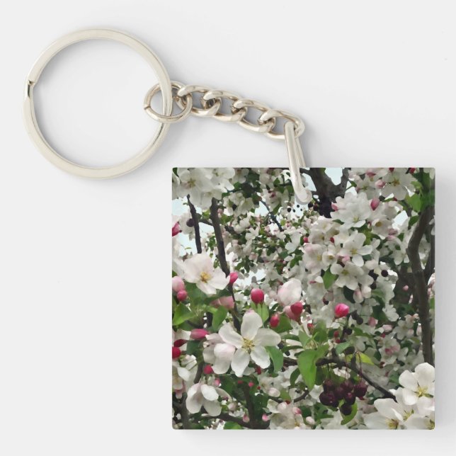 Arbre Apple en fleurs (Devant)