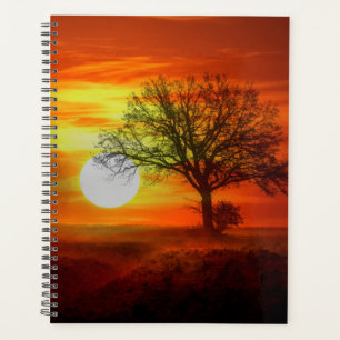 Arbre au coucher du soleil