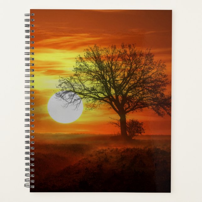 Arbre au coucher du soleil (Devant)
