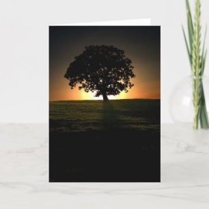 Arbre au coucher du soleil. Carte par cARTerART.