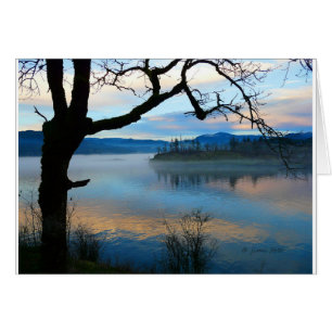 Arbre au-dessus de la rivière Columbia