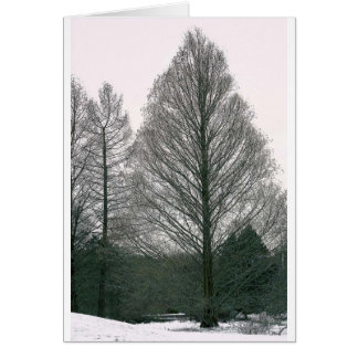 Arbre - colline NYC de vague