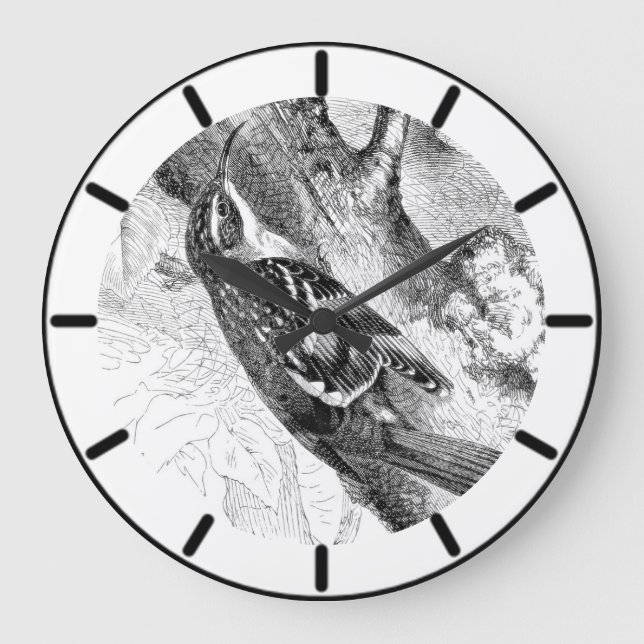 Arbre Creeper British Bird Grande horloge (Recto)