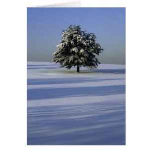 Arbre dans le paysage couvert de neige